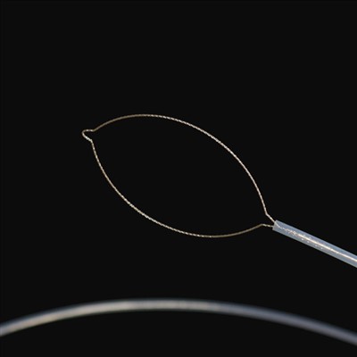 Tipo mandibula di u corpu straneru di u corpu