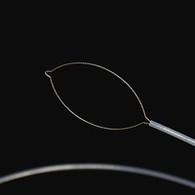 U tippu nettu di u corpu di u corpu straneru